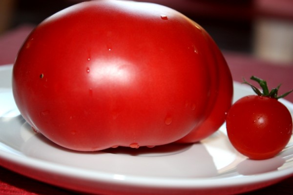 Pomidory malinowy i koktajlowy
